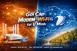 So Sánh Mạng FPT Và VNPT Tại U Minh: Lựa Chọn Nào Tối Ưu Nhất?